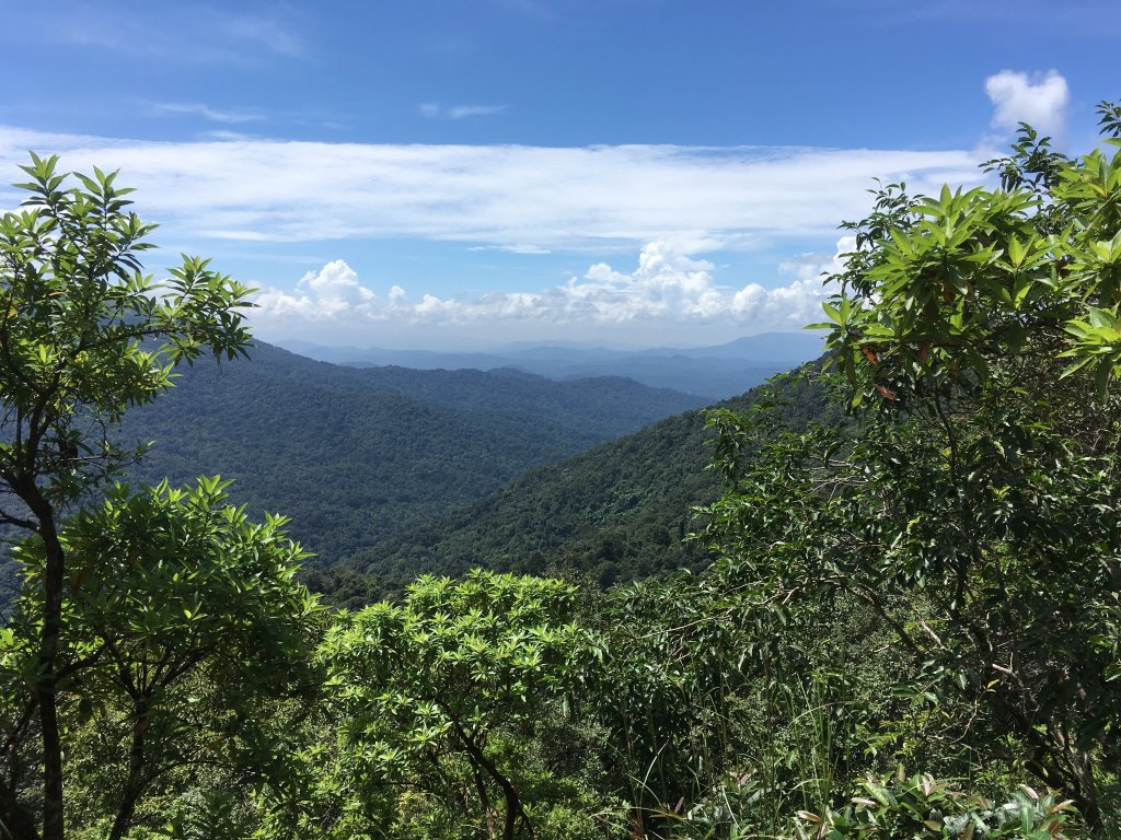 The side view of the viewpoint